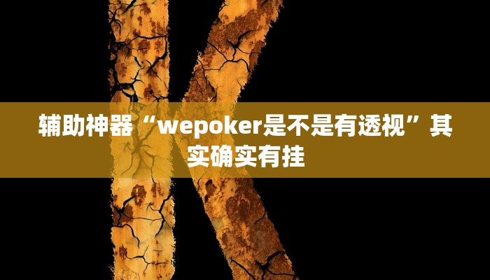 辅助神器“wepoker是不是有透视”其实确实有挂