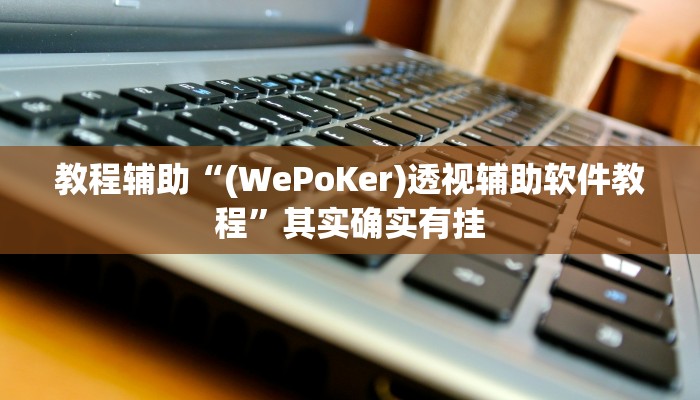 教程辅助“(WePoKer)透视辅助软件教程”其实确实有挂
