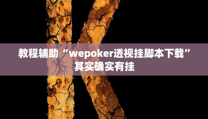 教程辅助“wepoker透视挂脚本下载”其实确实有挂