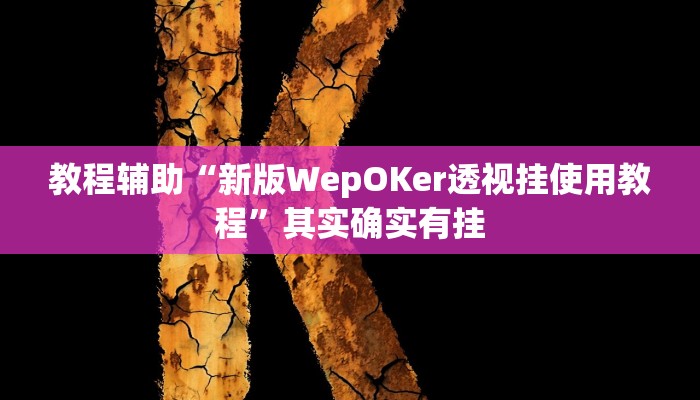 辅助神器“hhpoker有透视挂吗”开挂详细教程