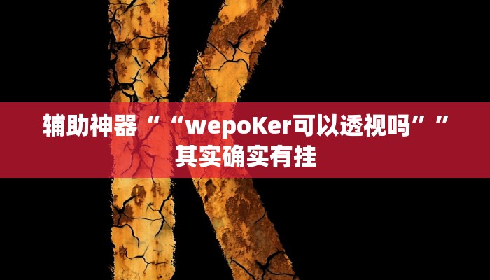 开挂辅助工具“wepoker德州开挂作弊方法!(透视)详细辅助透视教程
