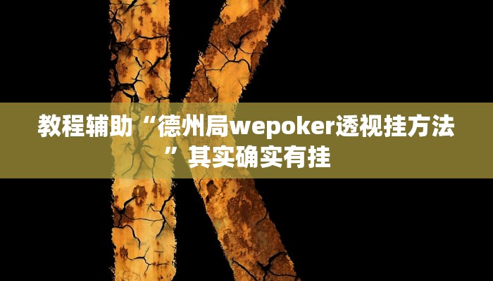 玩家辅助神器:“HHPoKer辅助透视挂教程”开挂详细教程 玩家辅助神器:“HHPoKer辅助透视挂教程”开挂详细教程