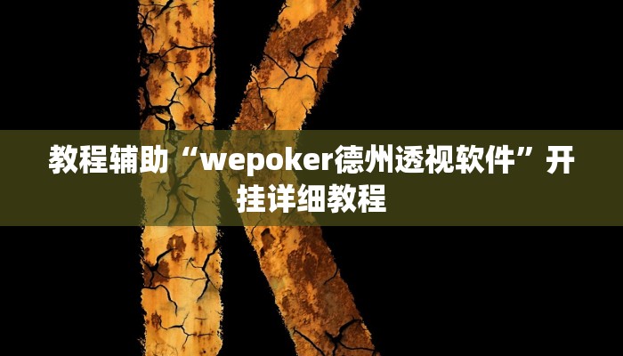教程辅助“wepoker德州透视软件”开挂详细教程