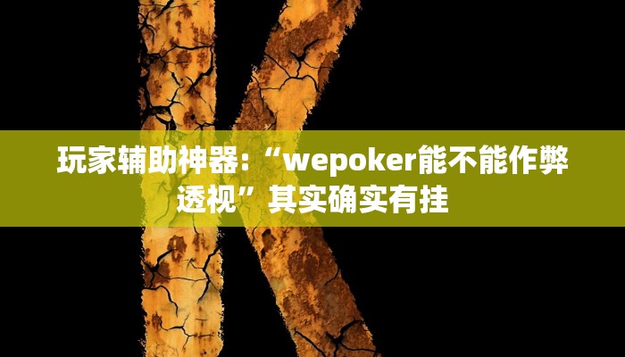玩家辅助神器:“wepoker能不能作弊透视”其实确实有挂