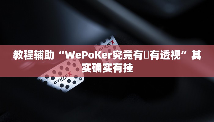 开挂辅助工具“wepoker德州局辅助透视挂!(透视)详细辅助透视教程