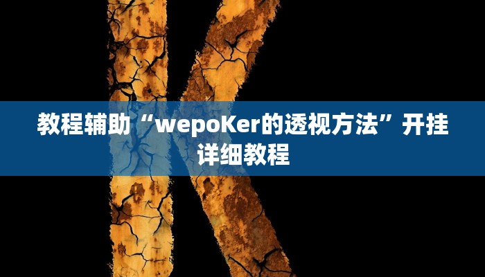 教程辅助“wepoKer的透视方法”开挂详细教程