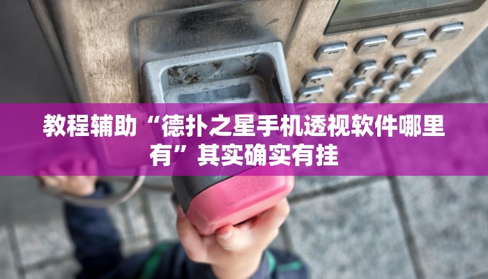 教程辅助“德扑之星手机透视软件哪里有”其实确实有挂