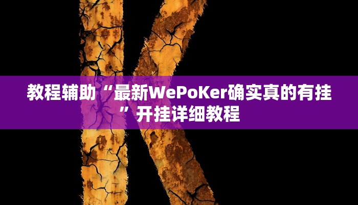 玩家辅助神器:“wepoker透视辅助教程”其实确实有挂