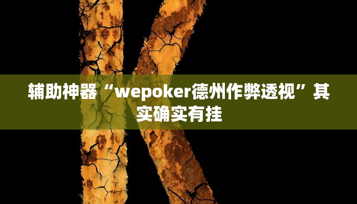 辅助神器“wepoker德州作弊透视”其实确实有挂