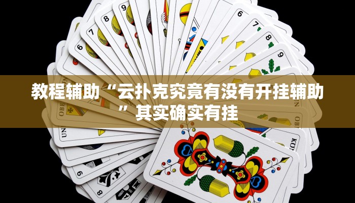 玩家辅助神器:“WePoKer辅助透视挂作弊挂”其实确实有挂