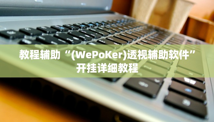 教程辅助“(WePoKer)透视辅助软件”开挂详细教程