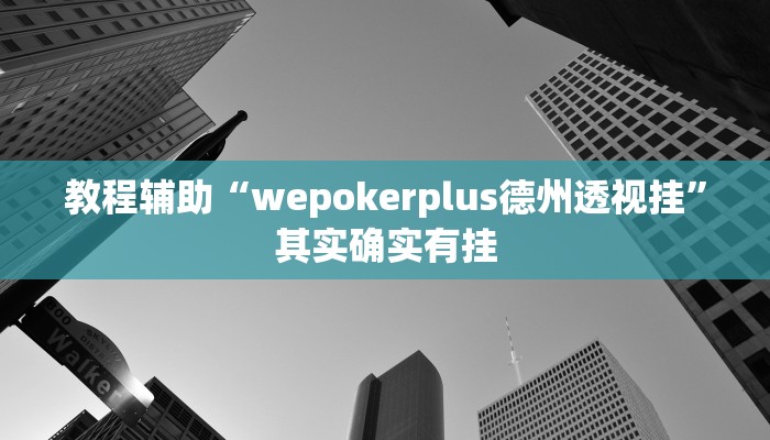教程辅助“wepokerplus德州透视挂”其实确实有挂