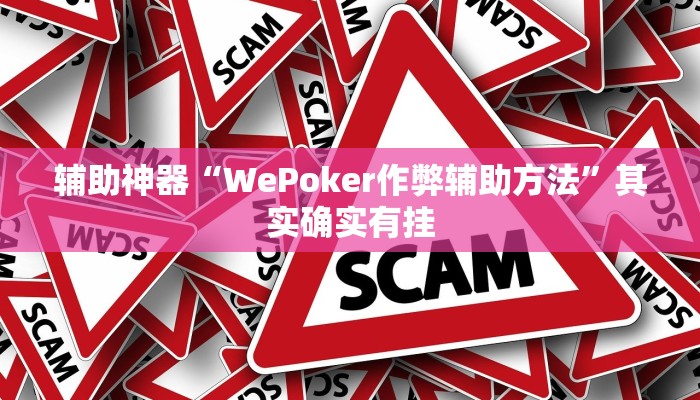 开挂辅助工具“wepoker德州局辅助透视挂(作弊)辅助透视教程”