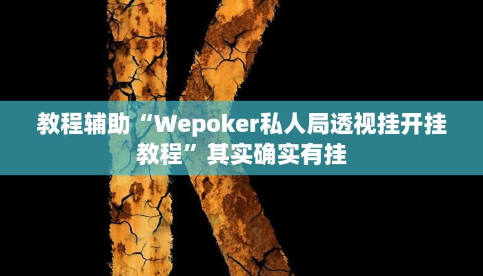 教程辅助“Wepoker私人局透视挂开挂教程”其实确实有挂