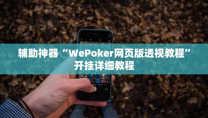 辅助神器“WePoker网页版透视教程”开挂详细教程
