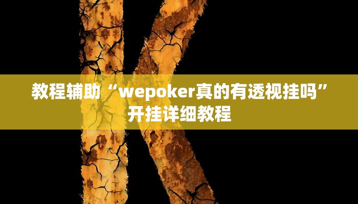 玩家辅助神器:“wepoker作弊辅助透视”开挂详细教程