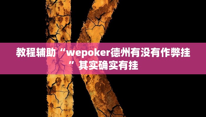 开挂辅助工具“wepoker私人局辅助挂(透视 ),难怪经常输有猫腻 (透视)