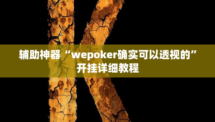 辅助神器“WepoKer究竟有没有透视挂”开挂详细教程
