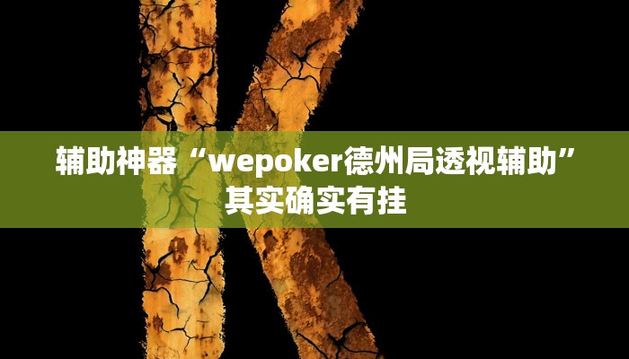 辅助神器“wepoker德州局透视辅助”其实确实有挂