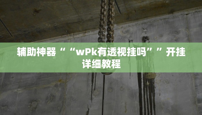 辅助教程“德扑之星辅助挂(透视 )!详细教程透视方法