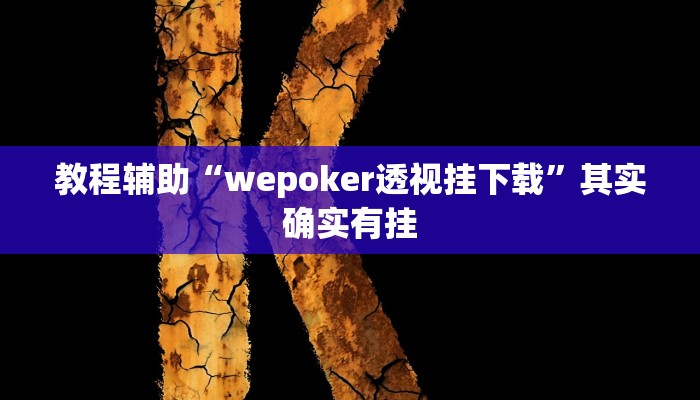 教程辅助“wepoker透视挂下载”其实确实有挂
