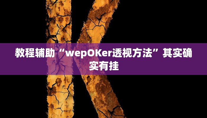 教程辅助“wepOKer透视方法”其实确实有挂 教程辅助“wepOKer透视方法”其实确实有挂