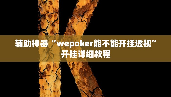 辅助神器“HHpoker透视辅助软件”其实确实有挂