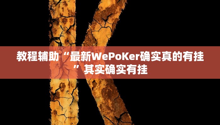 开挂辅助工具“HHpoker透视底牌软件,难怪经常输&原来有猫腻