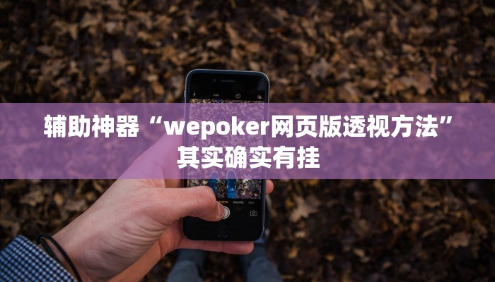 开挂辅助工具“wepoker德州透视辅助软件(透视 )!详细教程透视方法