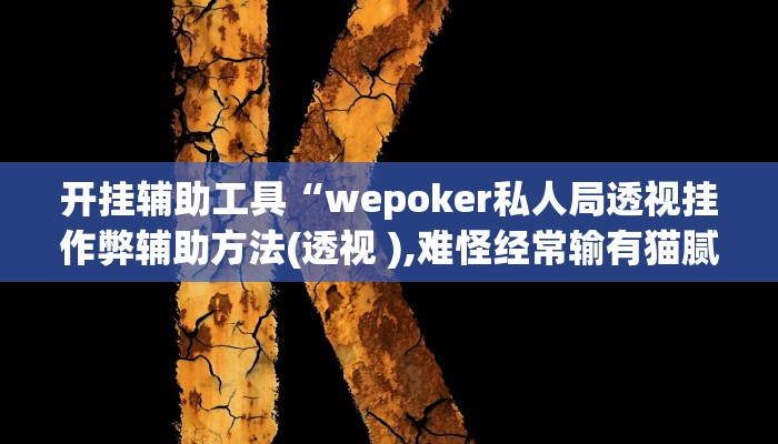 开挂辅助工具“wepoker私人局透视挂作弊辅助方法(透视 ),难怪经常输有猫腻 (透视) 开挂辅助工具“wepoker私人局透视挂作弊辅助方法(透视 ),难怪经常输有猫腻 (透视)