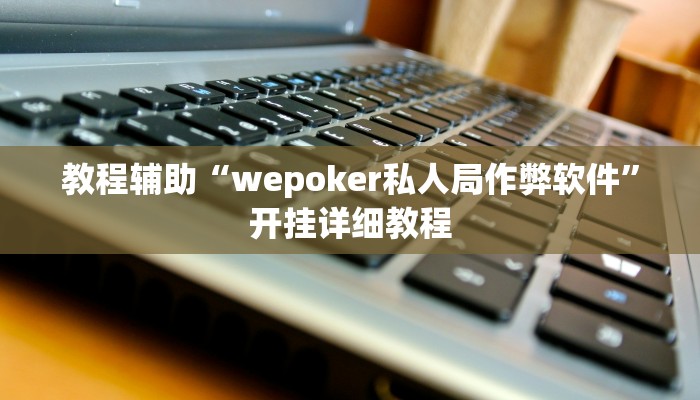 教程辅助“wepoker私人局作弊软件”开挂详细教程