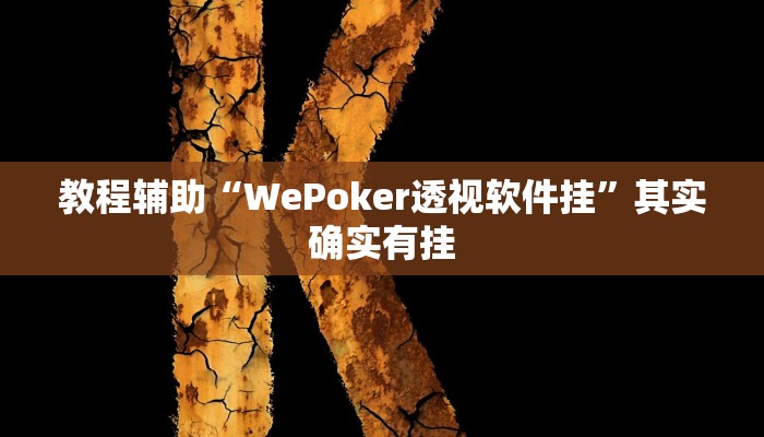 辅助神器“wepoker作弊开挂”其实确实有挂