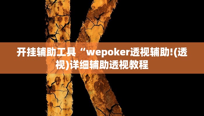 开挂辅助工具“wepoker私人局透视软件,难怪经常输&原来有猫腻