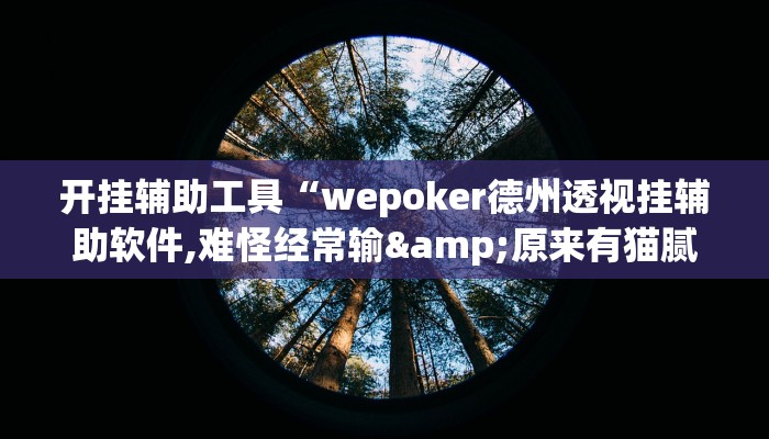 开挂辅助工具“wepoker德州透视挂辅助软件,难怪经常输&原来有猫腻