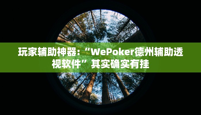 辅助教程“hhpoker透视辅助(作弊)辅助透视教程”