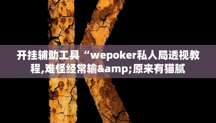 开挂辅助工具“wepoker私人局透视教程,难怪经常输&原来有猫腻