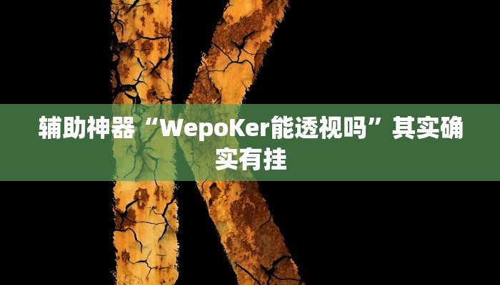 辅助神器“WepoKer能透视吗”其实确实有挂