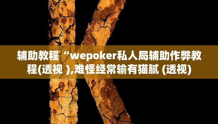 辅助教程“wepoker透视挂作弊开挂!(透视)详细辅助透视教程