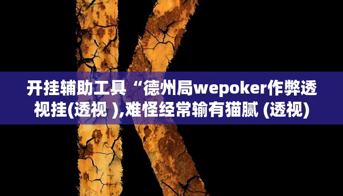 开挂辅助工具“德州局wepoker作弊透视挂(透视 ),难怪经常输有猫腻 (透视)