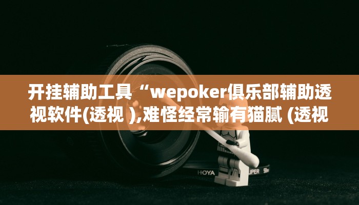 开挂辅助工具“wepoker俱乐部辅助透视软件(透视 ),难怪经常输有猫腻 (透视)
