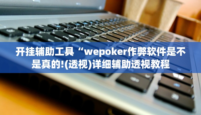 教程辅助“德州局wepoker作弊论坛”开挂详细教程