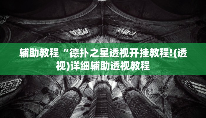 辅助教程“HHPoKer透视挂开挂教程,难怪经常输&原来有猫腻