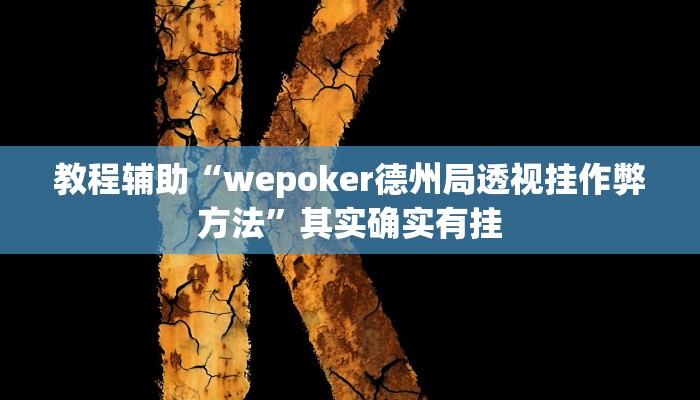 开挂辅助工具“wepoker透视开挂,难怪经常输&原来有猫腻