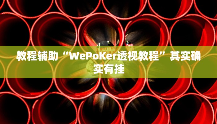 教程辅助“WePoKer透视教程”其实确实有挂