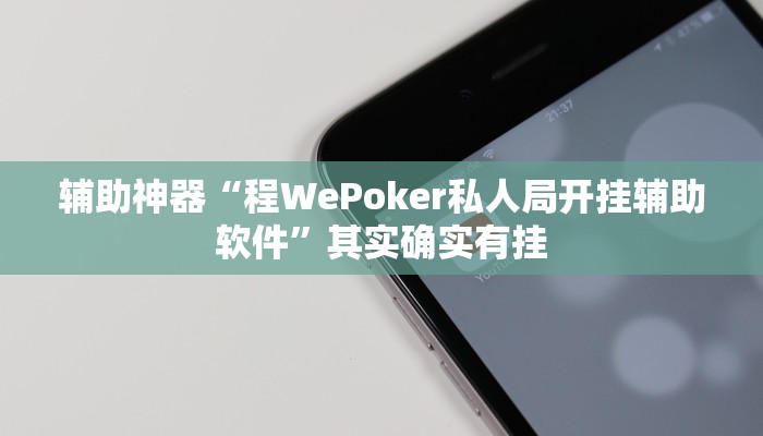 辅助神器“wepoKER德州局透视外挂辅助”其实确实有挂