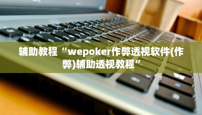 辅助教程“wepoker作弊透视软件(作弊)辅助透视教程”