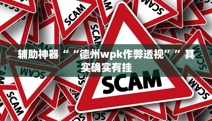 辅助神器“wepoker作 弊透视开挂”其实确实有挂