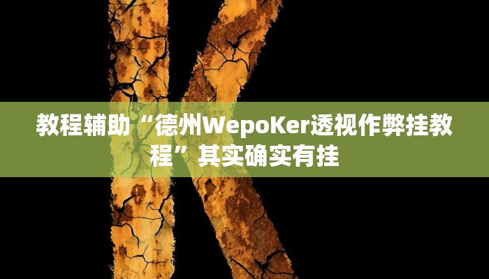 教程辅助“德州WepoKer透视作弊挂教程”其实确实有挂