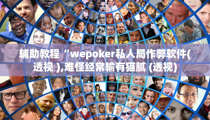 开挂辅助工具“wepoker作弊透视(透视 ),难怪经常输有猫腻 (透视)