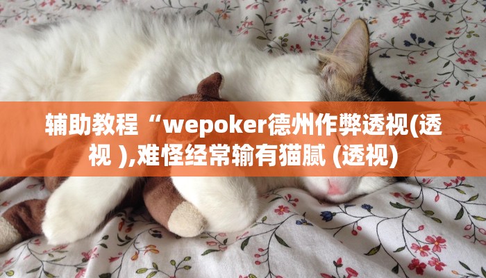 辅助教程“wepoker德州作弊透视(透视 ),难怪经常输有猫腻 (透视)
